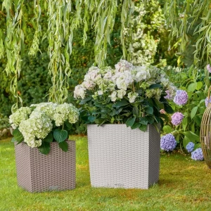 Lechuza Cube Cottage: Elegancka Donica z Inteligentnym Nawadnianiem