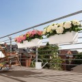 Białe doniczki skrzynki do zawieszenia na balkonie z nawadnianiem Lechuza Balconera 80.jpeg