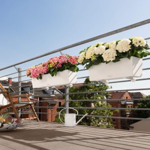 Morze kwiatów na balkonie? Skrzynki balkonowe Lechuza Balconera Color