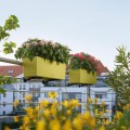 Lechuza Balconera Color skrzynki balkonowe do zawieszenia na balustradzie sklep.jpeg