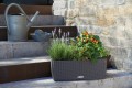 Skrzynka balkonowa z nawadnianiem Lechuza Balconera Cottage antracytowa technorattan.jpg